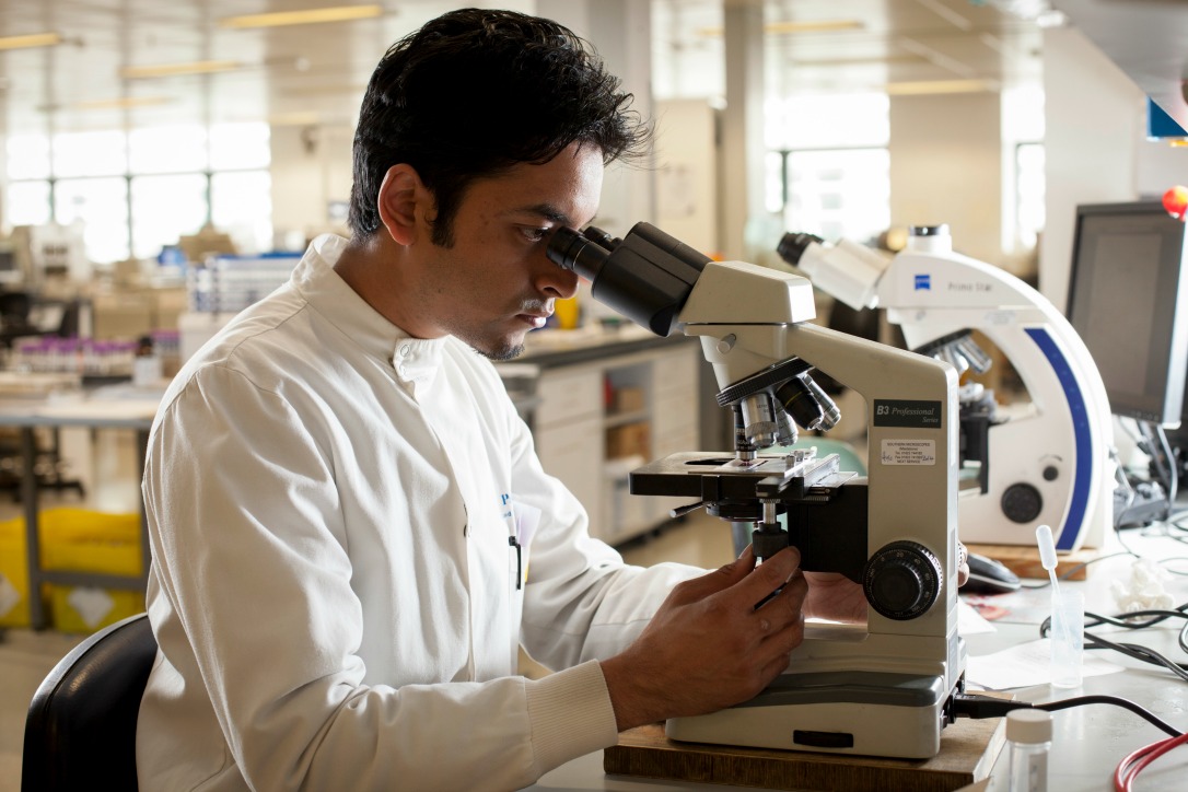 A member of staff looking into a microscope