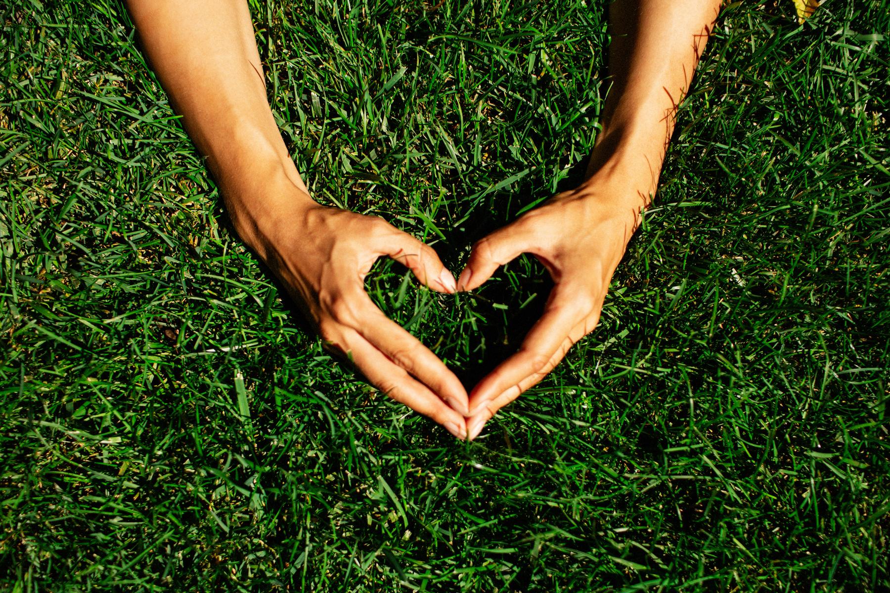hands make heart shape in grass