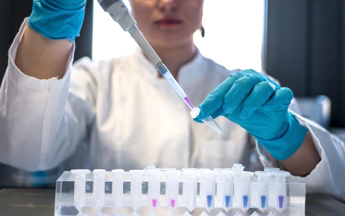 A researcher undertakes work in a lab with a pipette